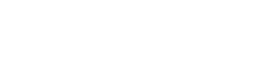 Logo principal blanc EX TECH